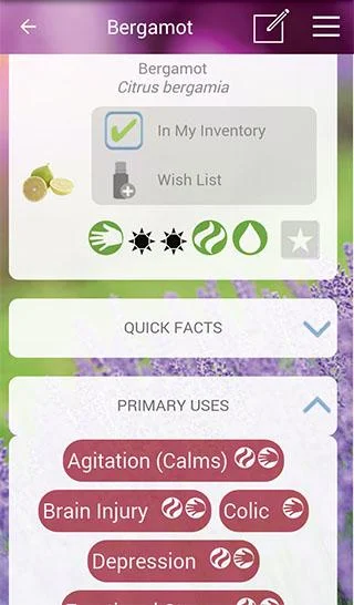 Screen